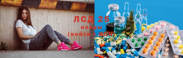 крисы Абаза