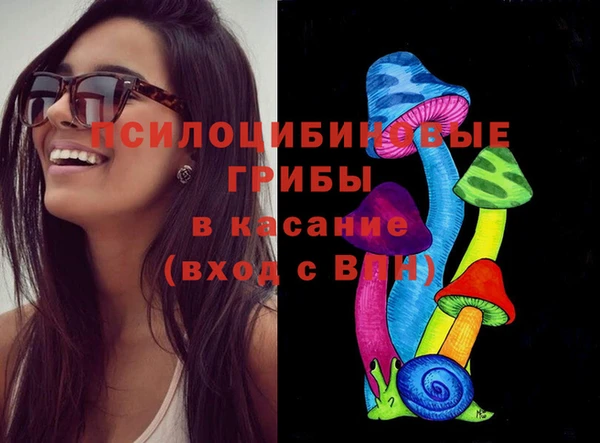 прущий лед Нея