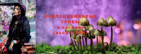 PSILOCYBIN Абдулино
