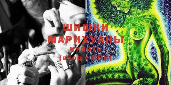 крисы Абаза