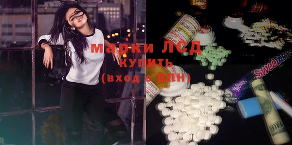 крисы Абаза