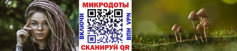 Псилоцибиновые грибы мухоморы  купить наркотики цена  Тутаев 